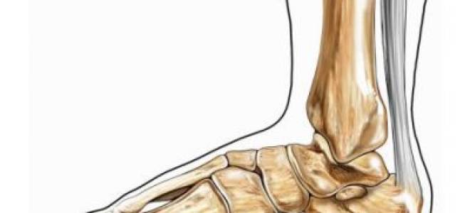Болит стопа снизу посередине