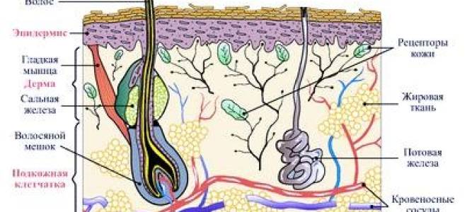 Трещина на стопе как лечить